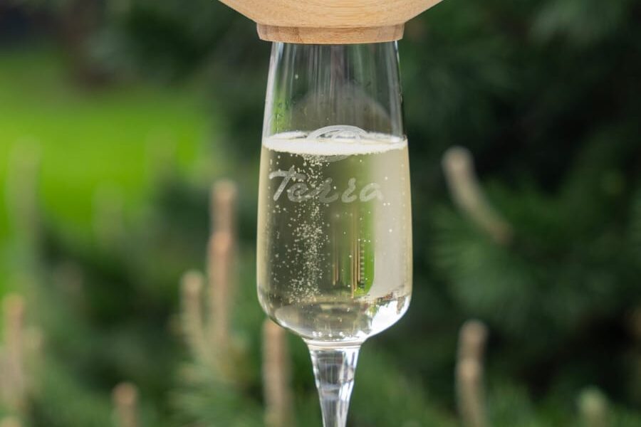 Vin Spumant